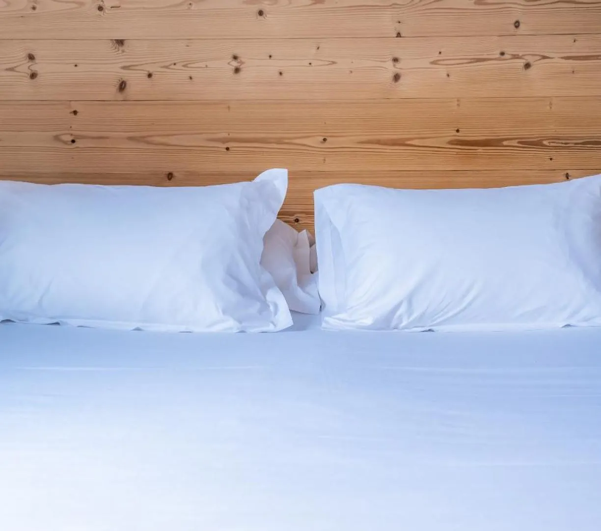 Best Western Plus Pays Du Mont Blanc Sallanches 4*,  Frankrijk